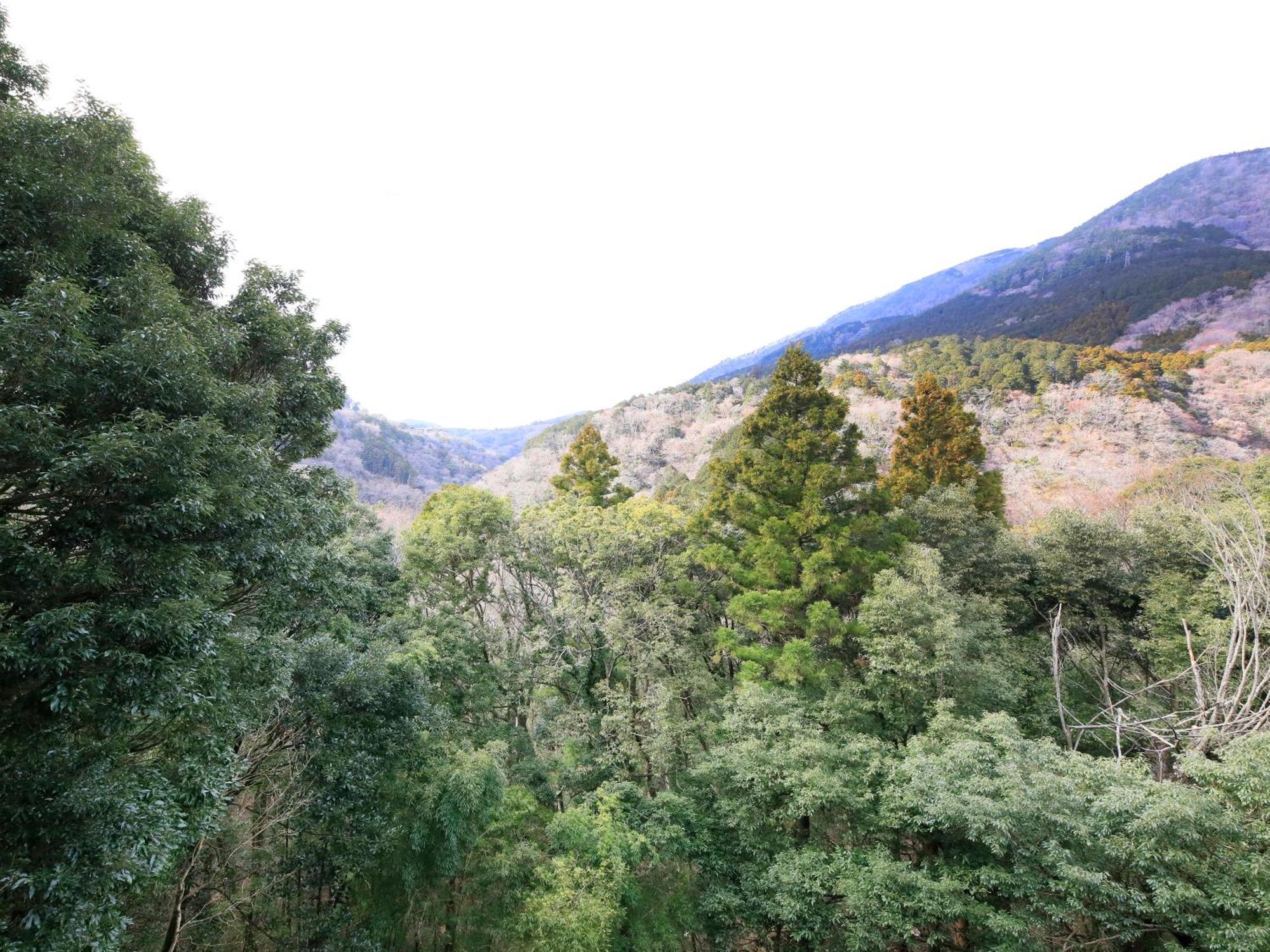 Hot Spring Inn Hakone Suisen Ngoại thất bức ảnh