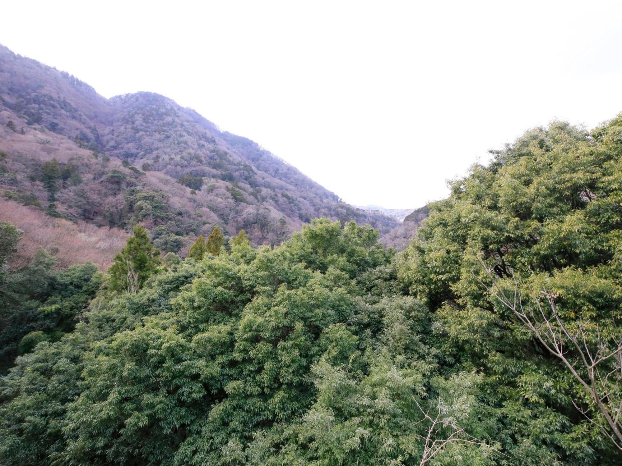 Hot Spring Inn Hakone Suisen Ngoại thất bức ảnh